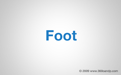 Foot