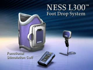 NESS L300  